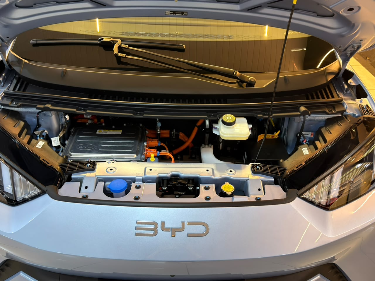 BYD DOLPHIN MINI EV ELÉTRICO - Imagem 11