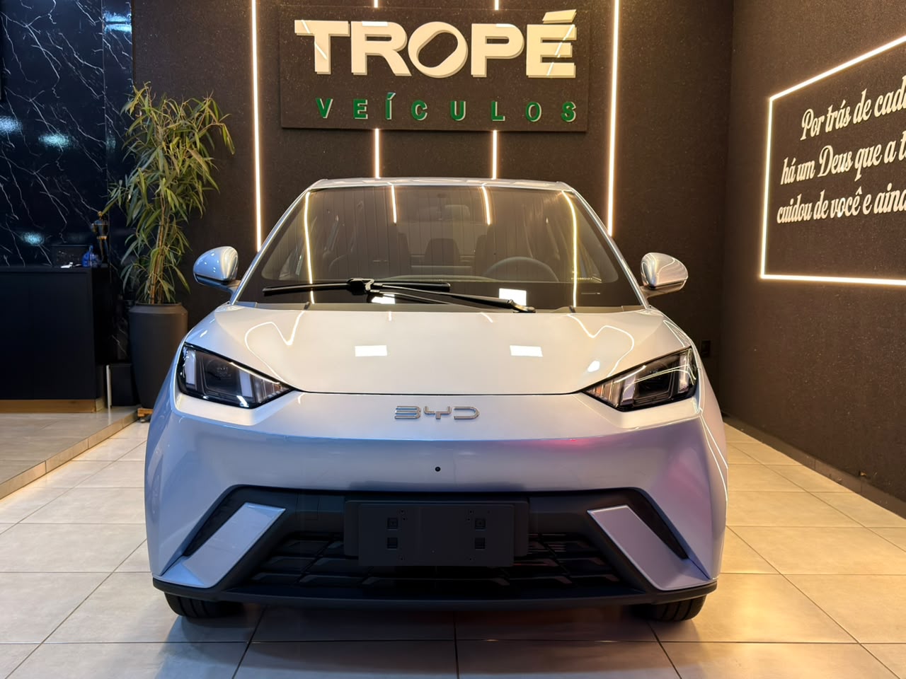 BYD DOLPHIN MINI EV ELÉTRICO - Imagem 2