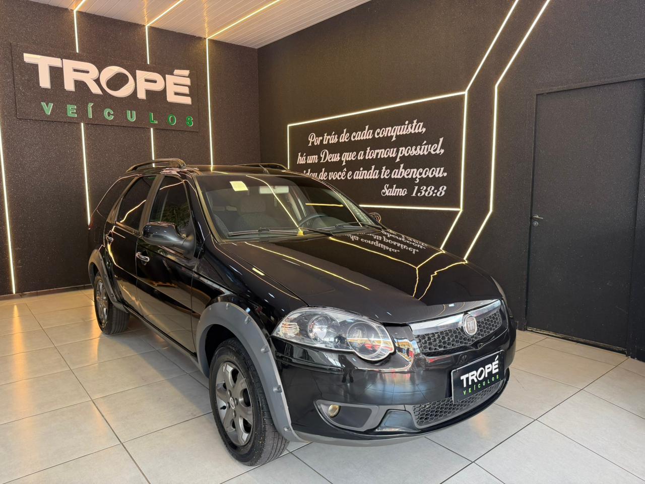 FIAT PALIO WK TREKK 1.6 FLEX