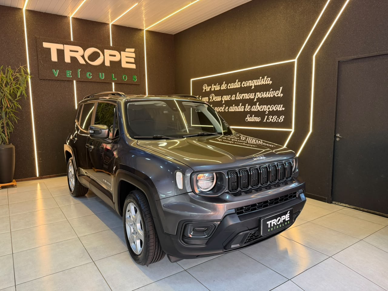 JEEP RENEGADE SPT T270 FLEX